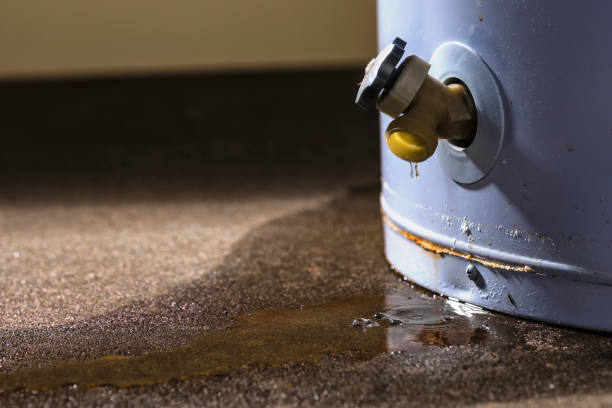 Best Carpet water damage restoration  in Piednt, MO