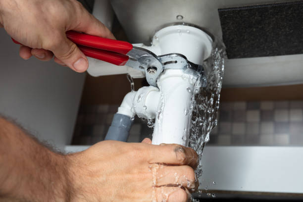 Best Mold removal after water damage  in Piednt, MO