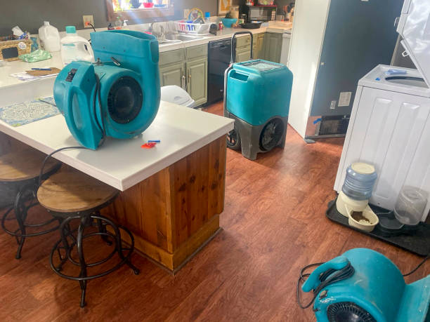 Best Residential water damage restoration  in Piednt, MO