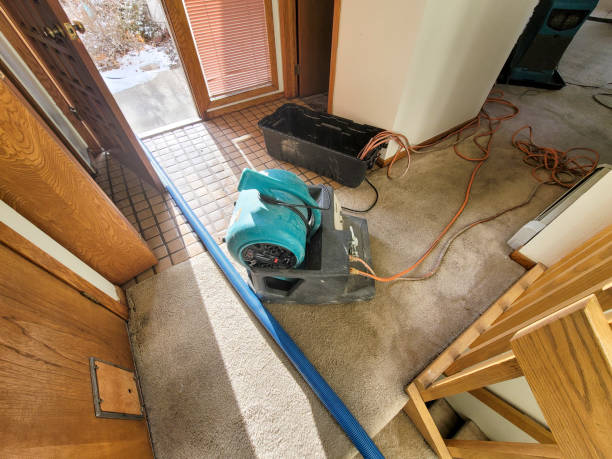 Best Flood restoration services  in Piednt, MO