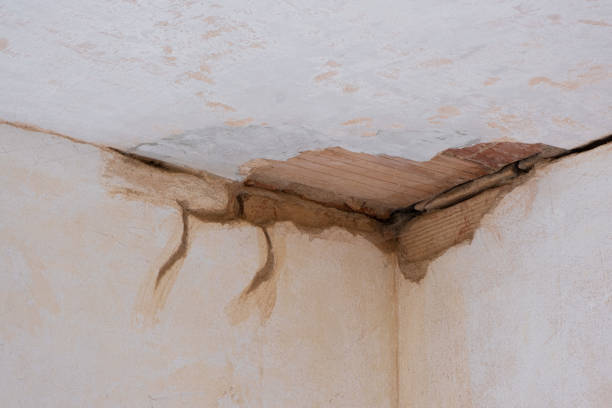 Best Emergency water damage restoration  in Piednt, MO