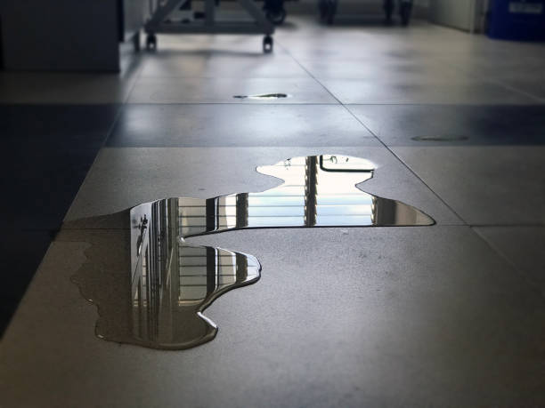 Best Commercial water damage restoration  in Piednt, MO