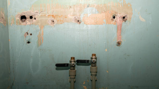 Best Sewage cleanup and water damage restoration  in Piednt, MO