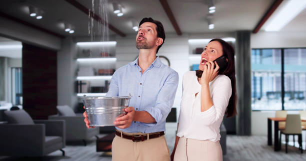 Best Fire Damage Restoration  in Piednt, MO